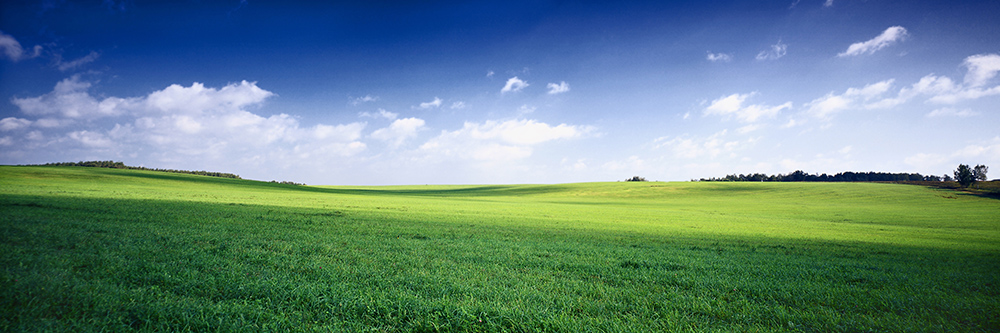 Fotolia_3256956_XXL